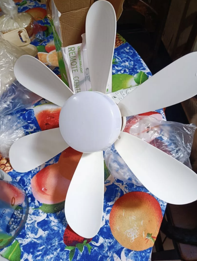 Photo envoyée par la cliente : le ventilateur LumiFan déballé avec sa télécommande